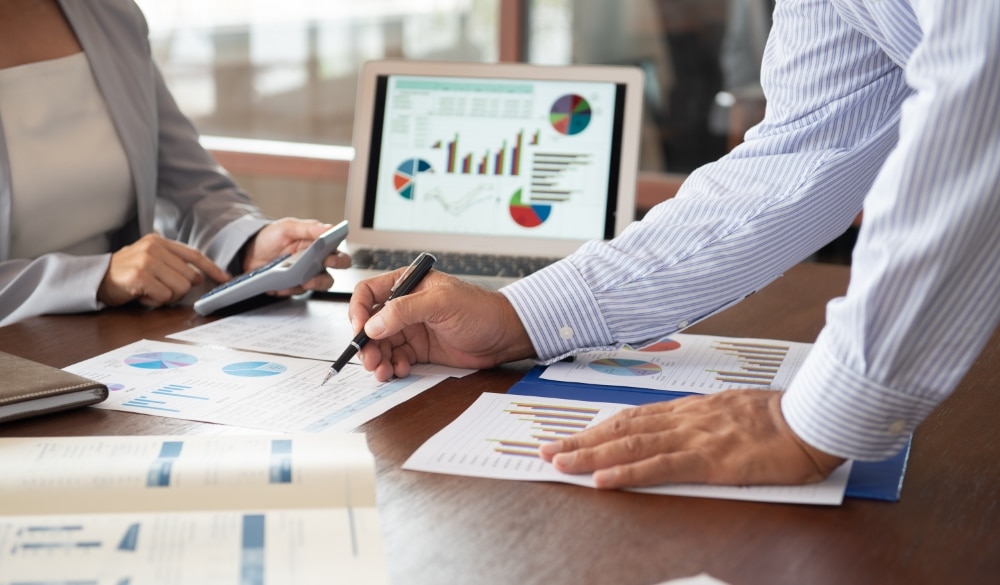 Auditor auditing company documents